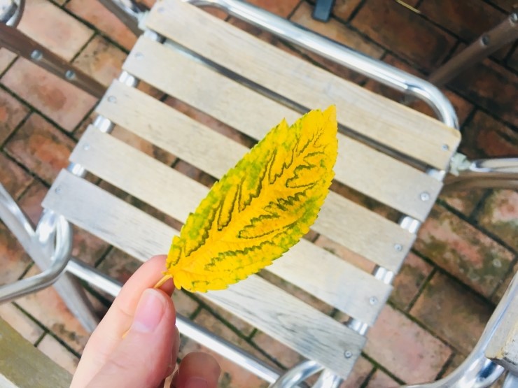 가을 느낌이 물씬 풍기는 날~ 관련 이미지 6