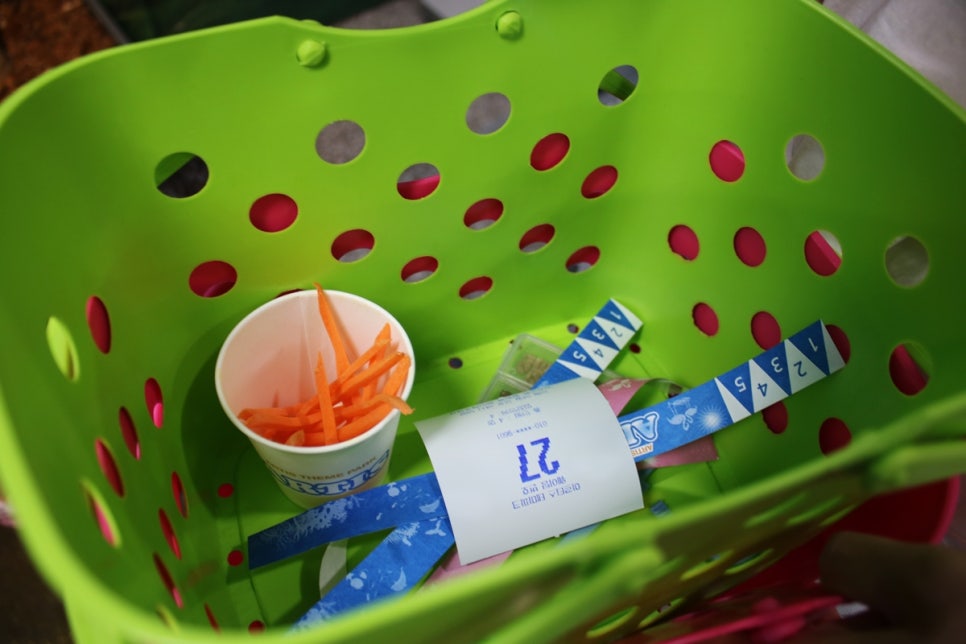 동탄 실내동물원 도심속에서 이런 퀄리티라니 놀라게 되는 아르티스테마파크 관련 이미지 17