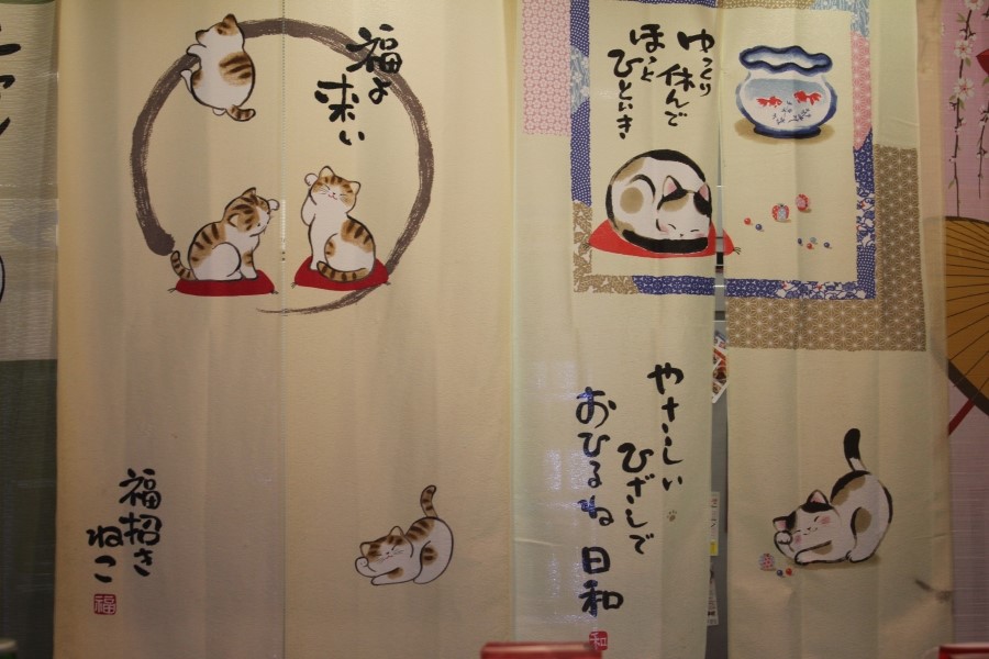 매탄동 스시 맛집 싱싱함이 남달랐던 주원초밥 관련 이미지 12