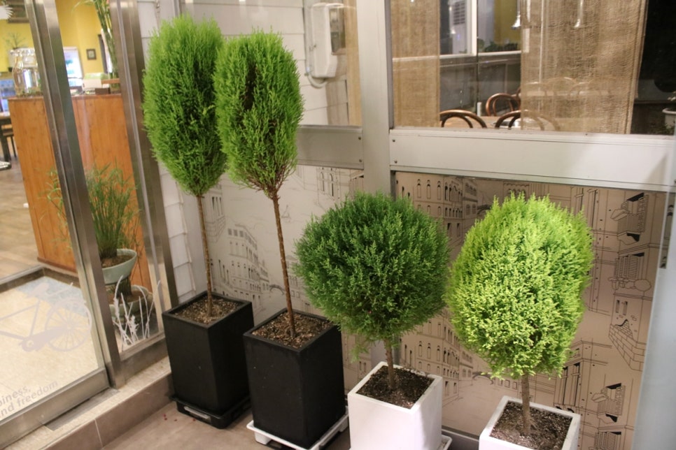 송탄오리고기 맛집 온가족이 행복한 시간을 보내고온 미당 관련 이미지 11