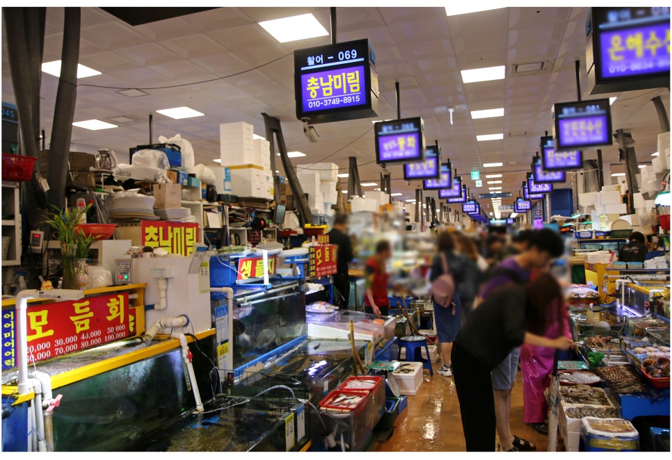 노량진수산시장 횟집 입에서 살살녹는 역대급후기 관련 이미지 2