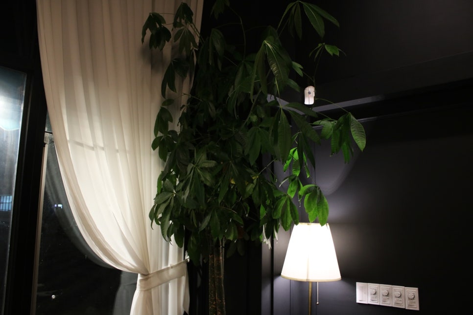 영통레스토랑 낭만적인 저녁식사를 원하신다면 아크메 관련 이미지 6