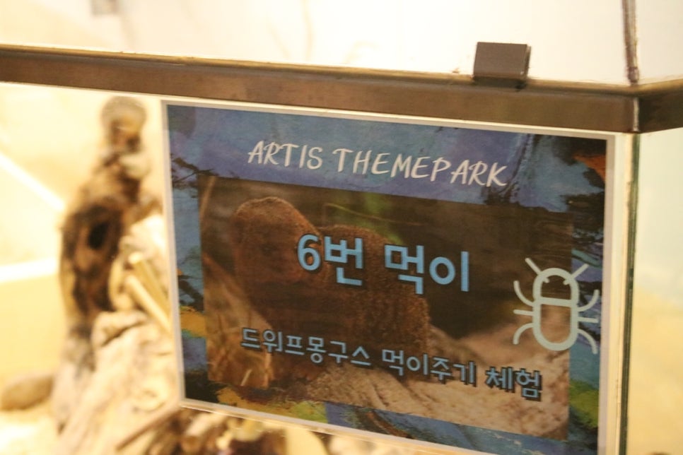 동탄 실내동물원 도심속에서 이런 퀄리티라니 놀라게 되는 아르티스테마파크 관련 이미지 42