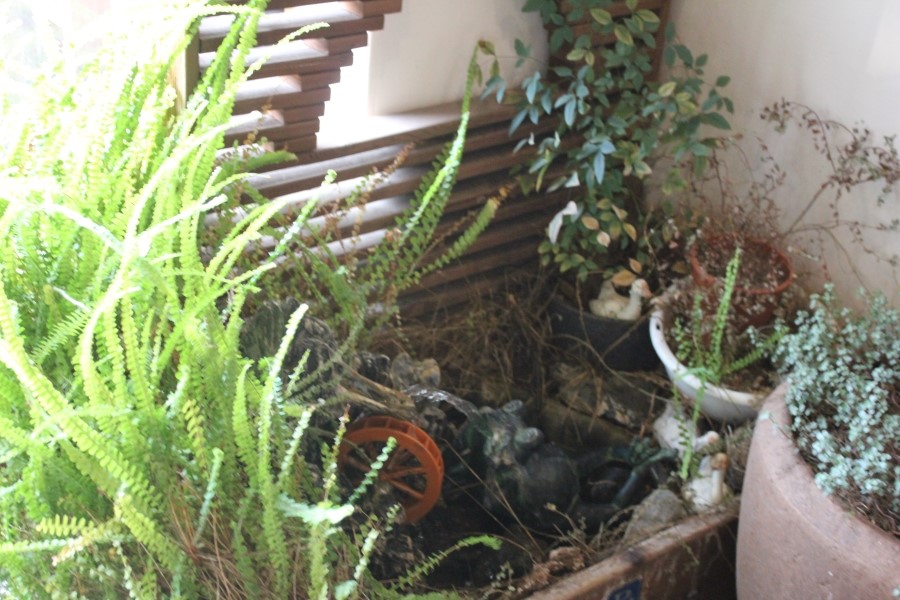 명지대맛집 용인 스테이크와 피자가 땡길때는 루나리치 관련 이미지 14