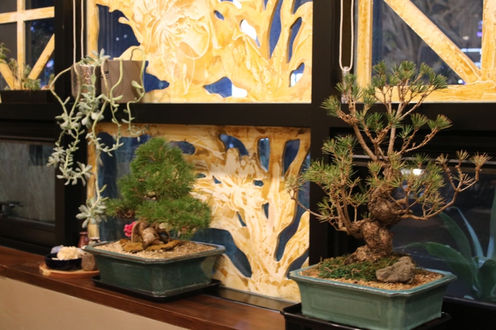 동탄 능동 맛집 기가 막힌 쌀국수를 맛볼수 있는 창앤호아마이 관련 이미지 8