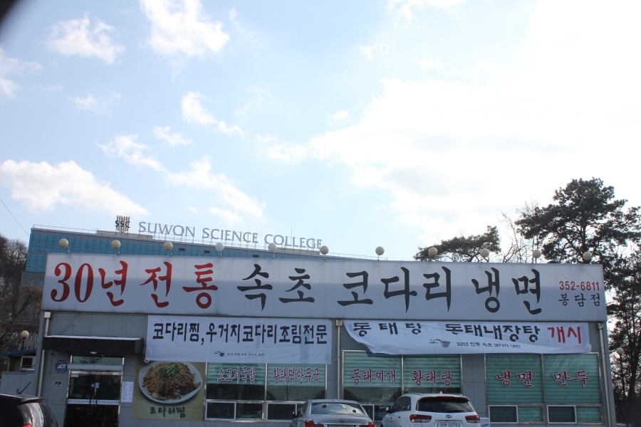보통리 맛집 그냥 지나치기 어려운 속초코다리냉면 관련 이미지 1