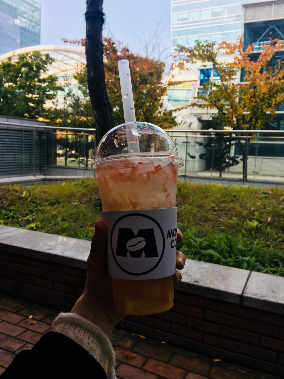 화창한 날에 산책하며 관련 이미지 6