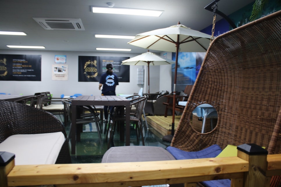 동탄 실내동물원 도심속에서 이런 퀄리티라니 놀라게 되는 아르티스테마파크 관련 이미지 90