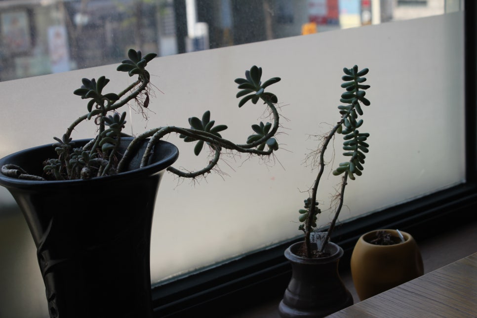 영통역 맛집 놀라운 구성으로 만족하고 오게된 토스푼 관련 이미지 9