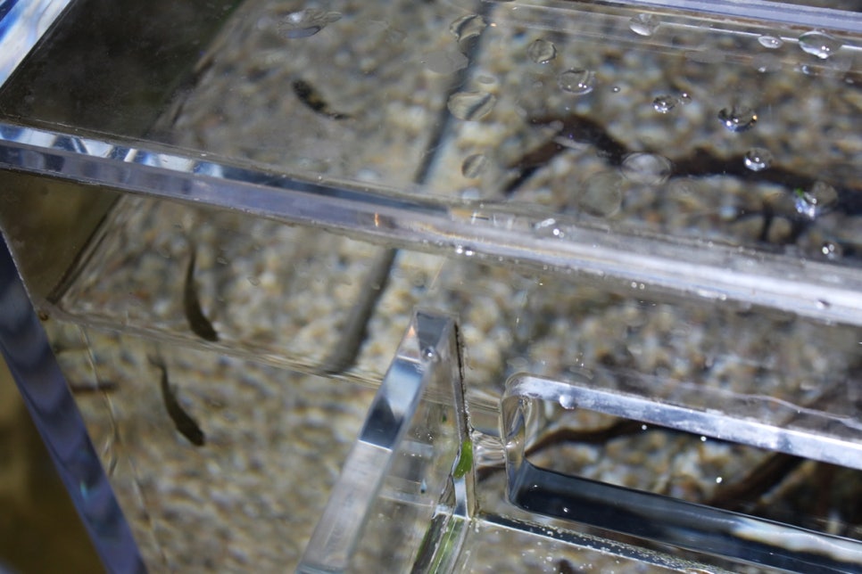 동탄 실내동물원 도심속에서 이런 퀄리티라니 놀라게 되는 아르티스테마파크 관련 이미지 60