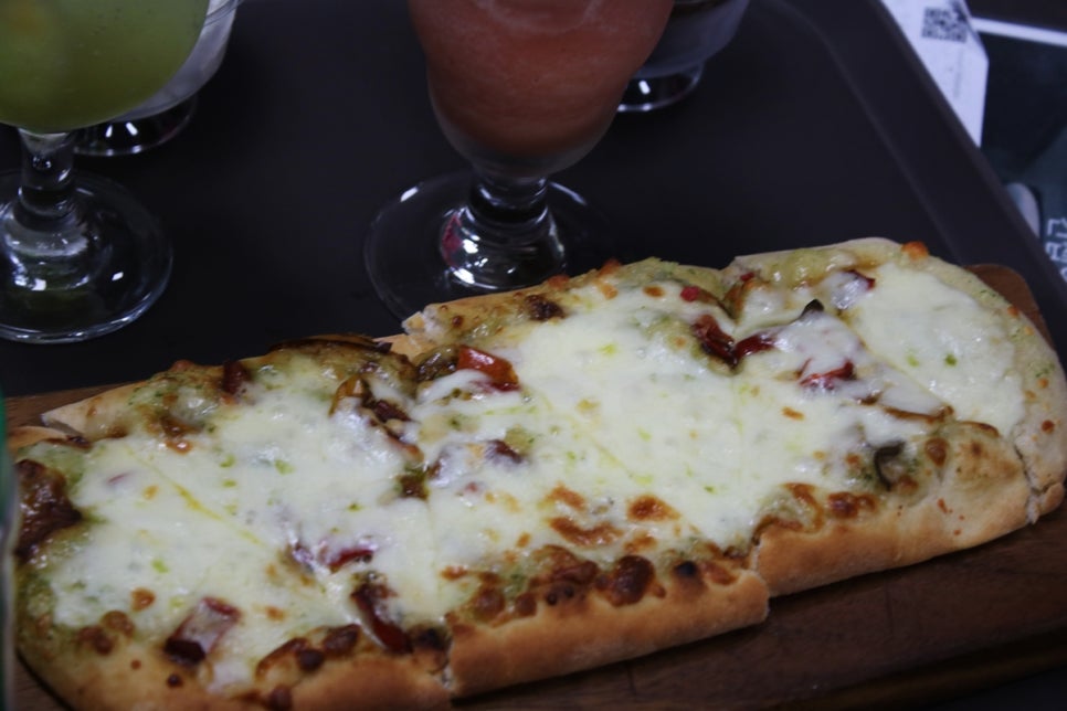 동탄 실내동물원 도심속에서 이런 퀄리티라니 놀라게 되는 아르티스테마파크 관련 이미지 104