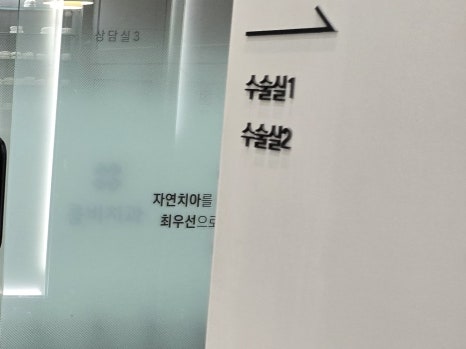 65세이상 임플란트 개수 구체적으로 체크하려면 관련 이미지 15