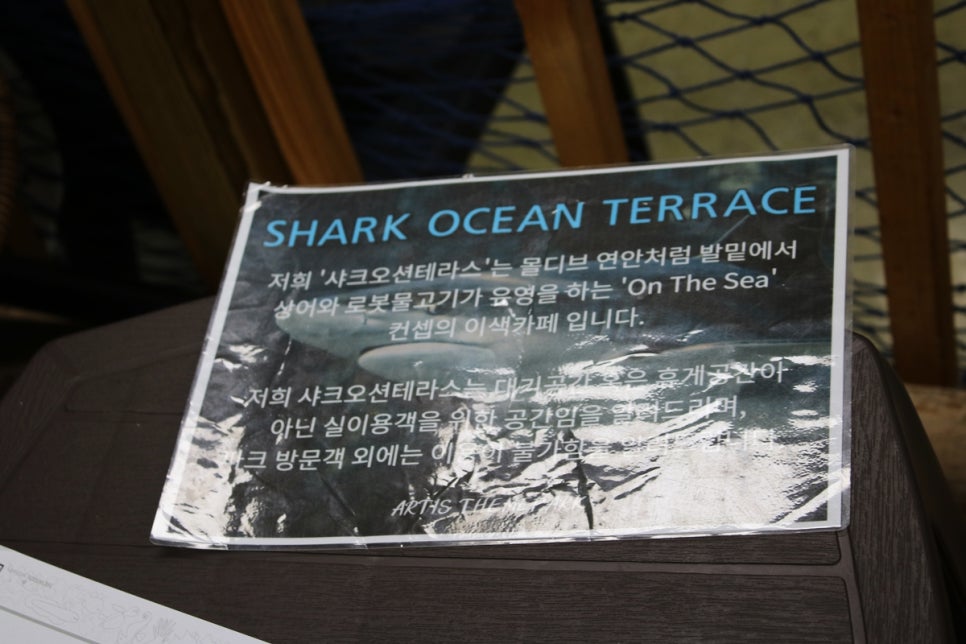 동탄 실내동물원 도심속에서 이런 퀄리티라니 놀라게 되는 아르티스테마파크 관련 이미지 100