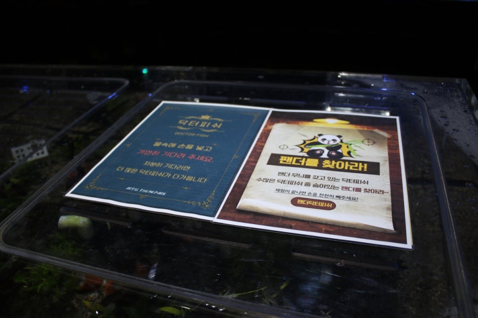 동탄 실내동물원 도심속에서 이런 퀄리티라니 놀라게 되는 아르티스테마파크 관련 이미지 58