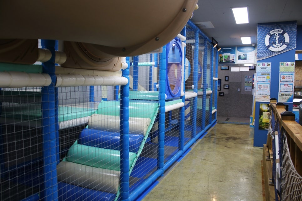 동탄 실내동물원 도심속에서 이런 퀄리티라니 놀라게 되는 아르티스테마파크 관련 이미지 91