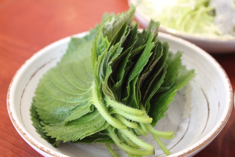 수원 만석공원 맛집 갑오징어불고기에 밥비벼먹고 오자 관련 이미지 16