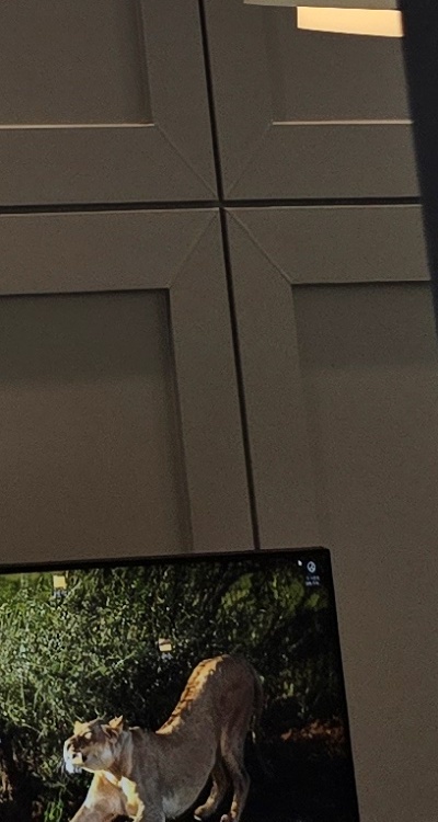 반대교합 치아교정 해결 가능할까 관련 이미지 45