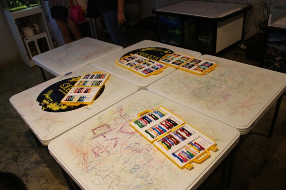 동탄 실내동물원 도심속에서 이런 퀄리티라니 놀라게 되는 아르티스테마파크 관련 이미지 96