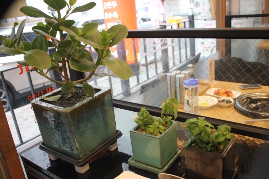 용인 가족 모임 모두가 만족스러운 식사 바른손만두 죽전점 관련 이미지 11