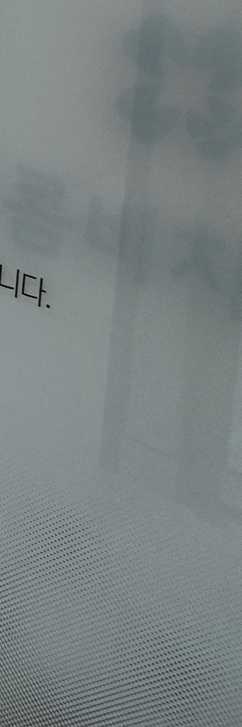 부분매복 사랑니 발치 신중하게 대비하려면 관련 이미지 21