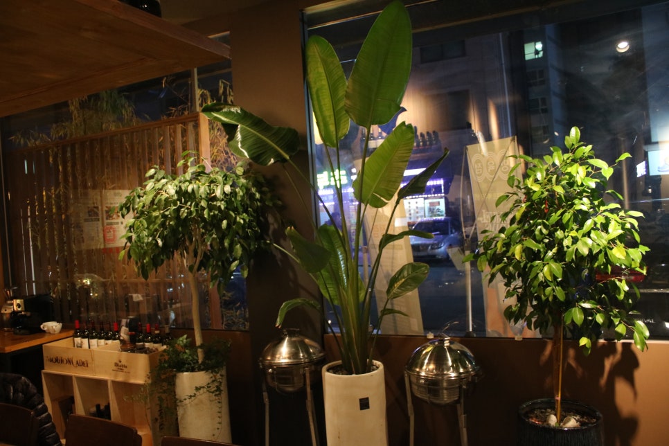 동탄 회식 내가찾던그곳 양육점 관련 이미지 11