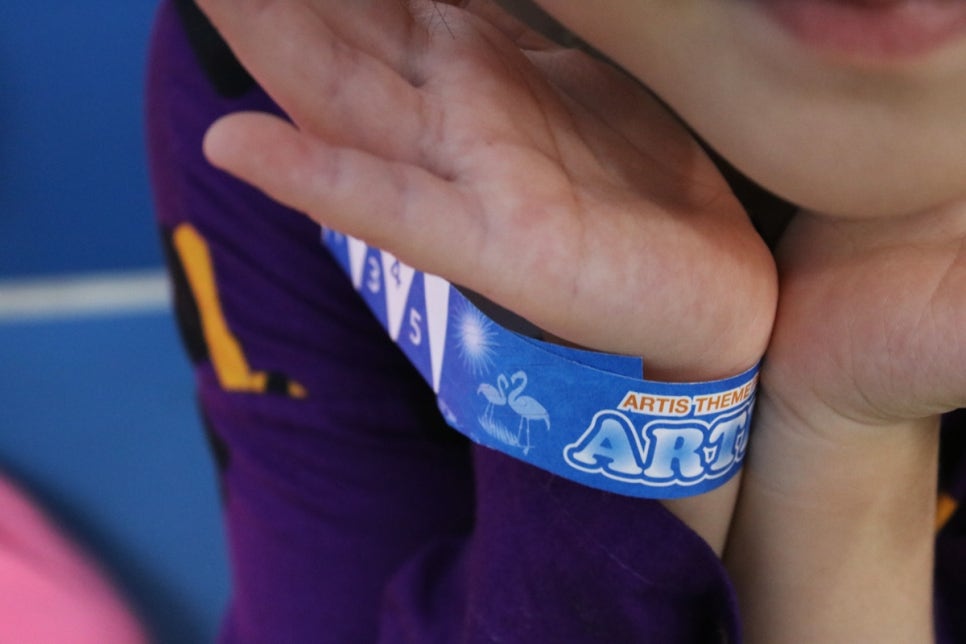 동탄 실내동물원 도심속에서 이런 퀄리티라니 놀라게 되는 아르티스테마파크 관련 이미지 19