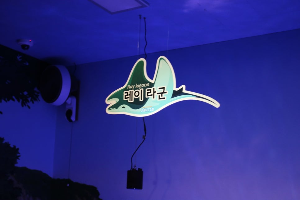 동탄 실내동물원 도심속에서 이런 퀄리티라니 놀라게 되는 아르티스테마파크 관련 이미지 71