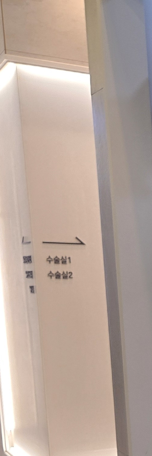 부분매복 사랑니 발치 신중하게 대비하려면 관련 이미지 8