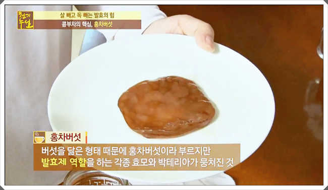 콤부차 효능 뭐가 있을까요 관련 이미지 1