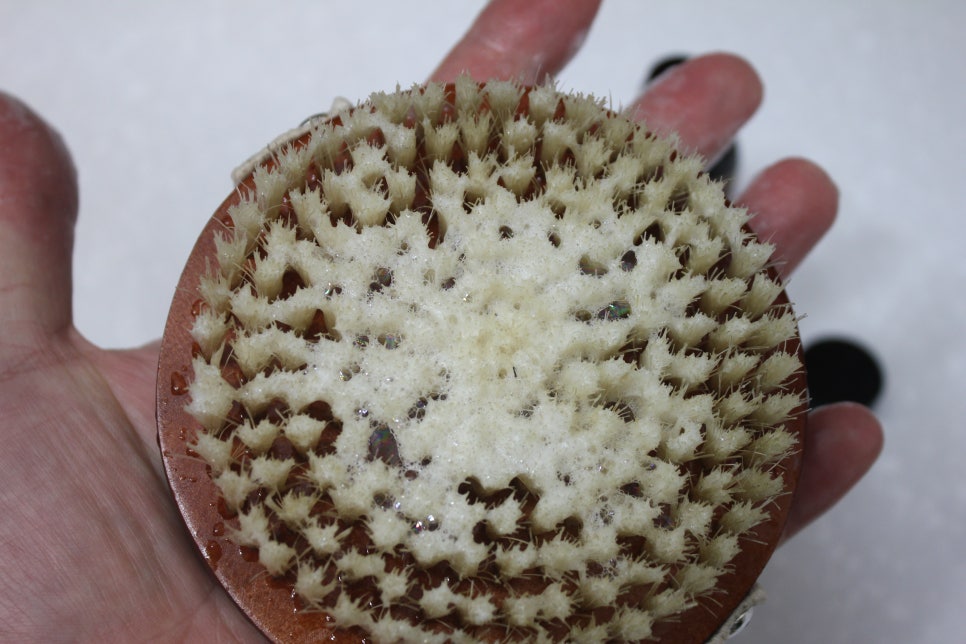 등드름에 대한 걱정을 해결해주는 아미니 바디브러쉬추천 관련 이미지 18