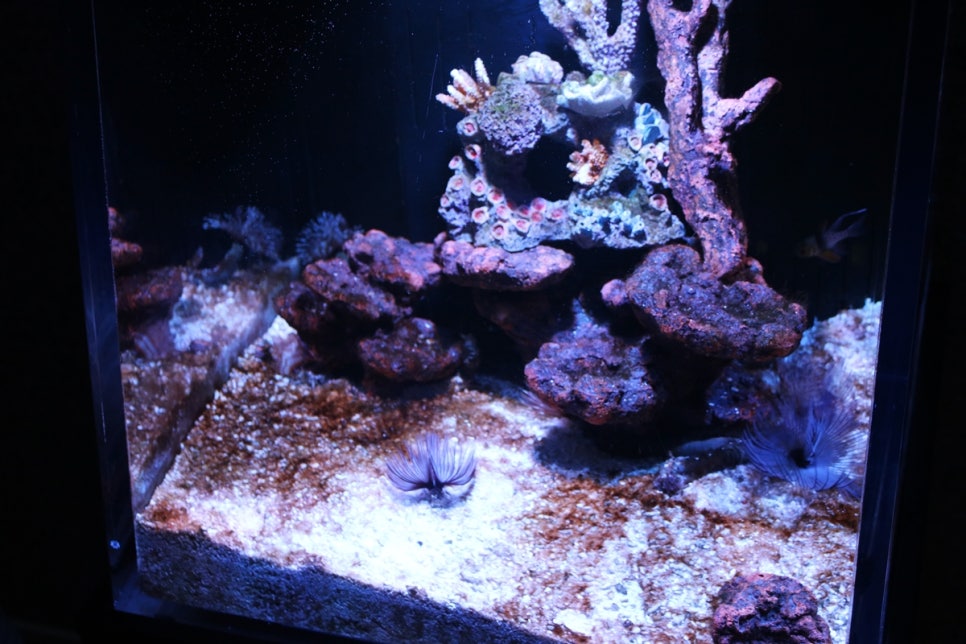 동탄 실내동물원 도심속에서 이런 퀄리티라니 놀라게 되는 아르티스테마파크 관련 이미지 23