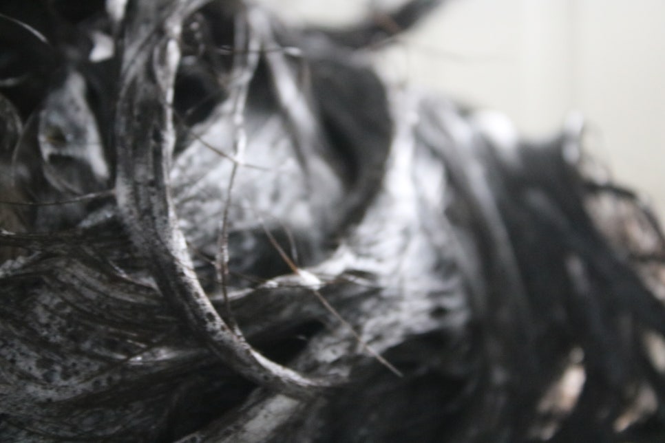 미세먼지샴푸 첨써보는 신개념의 스탠다즈 워터캡슐 관련 이미지 24