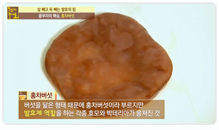 콤부차파는곳 알아볼까요? 관련 이미지 2