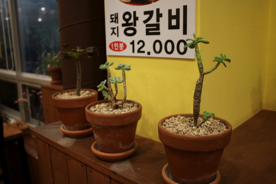 송탄오리고기 맛집 온가족이 행복한 시간을 보내고온 미당 관련 이미지 20