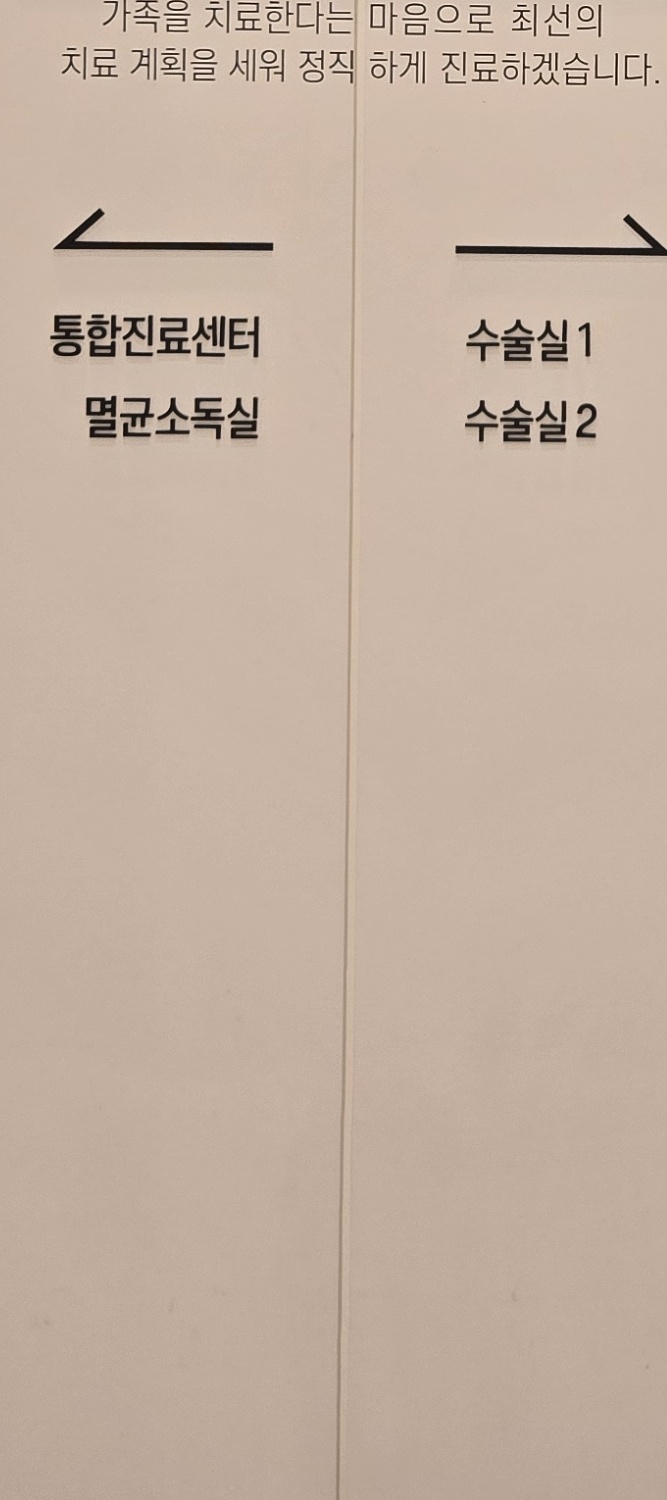 어금니 임플란트 과정 기간 어느정도 예상되나요 관련 이미지 32
