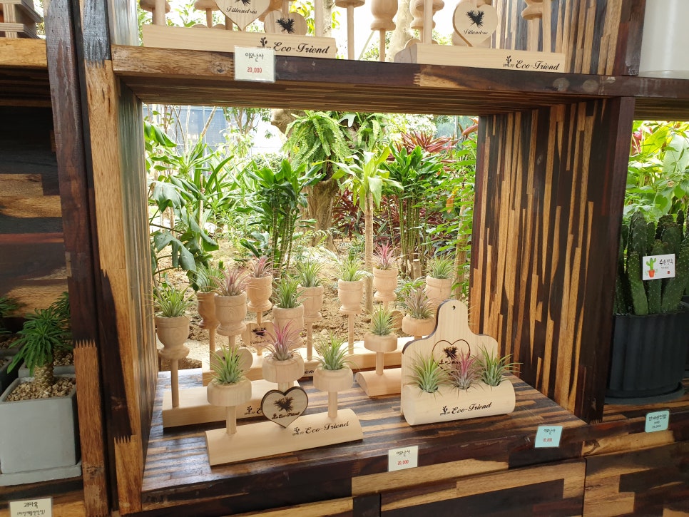 화성 가볼만한곳 바오밥식물원베이커리에 아이들과 함께 관련 이미지 12