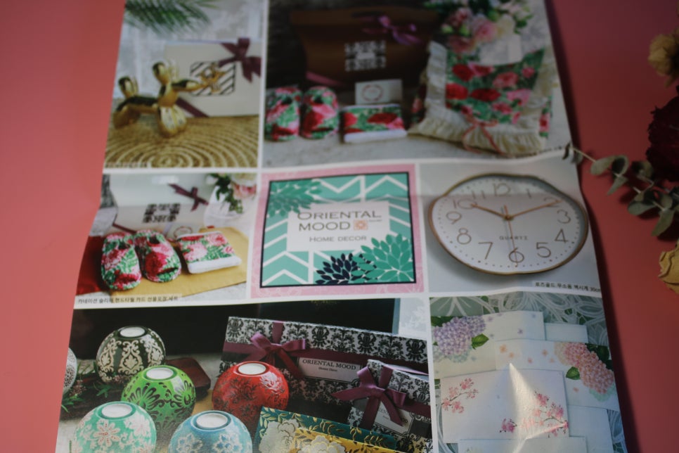 미세먼지정화식물 틸란드시아 이오난사 드뎌 나도 키운다! 관련 이미지 2