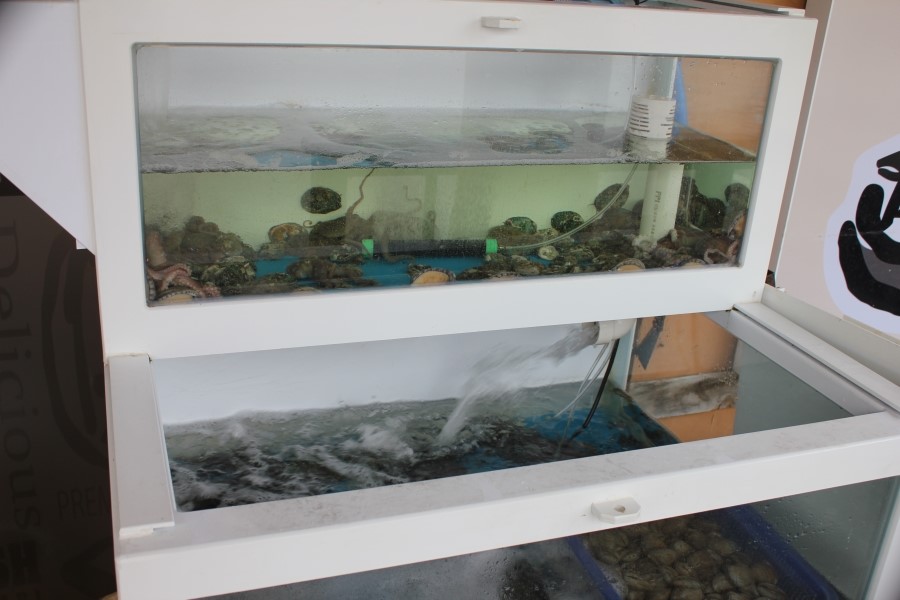 평택 법원 맛집 중독성이 엄청난 코다리조림을 맛보고오다 관련 이미지 4