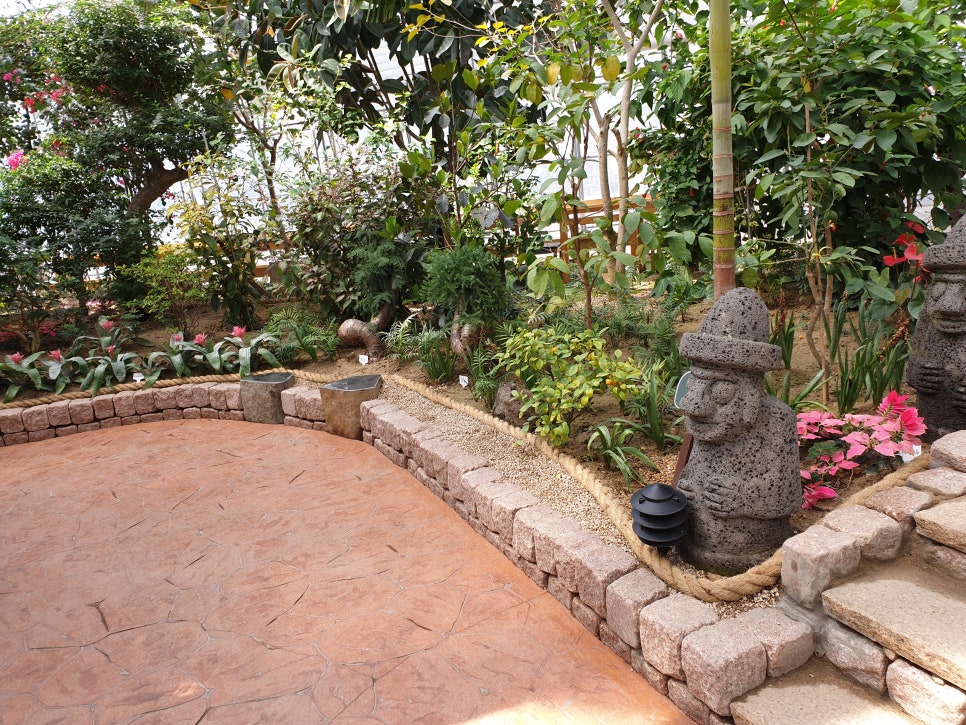 화성 가볼만한곳 바오밥식물원베이커리에 아이들과 함께 관련 이미지 11