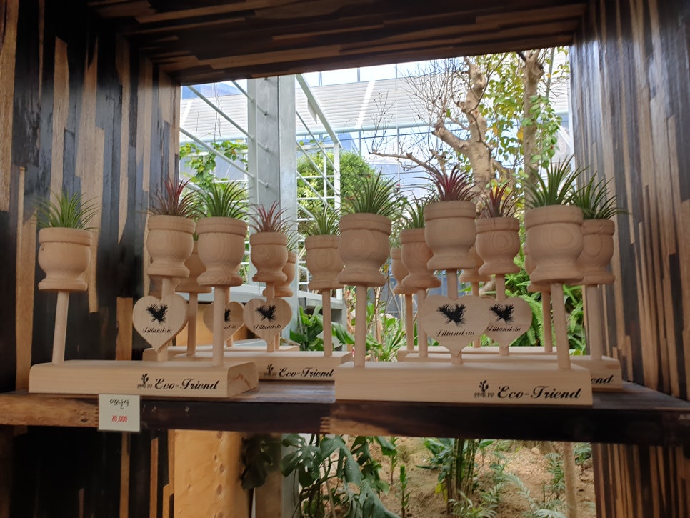 화성 가볼만한곳 바오밥식물원베이커리에 아이들과 함께 관련 이미지 13