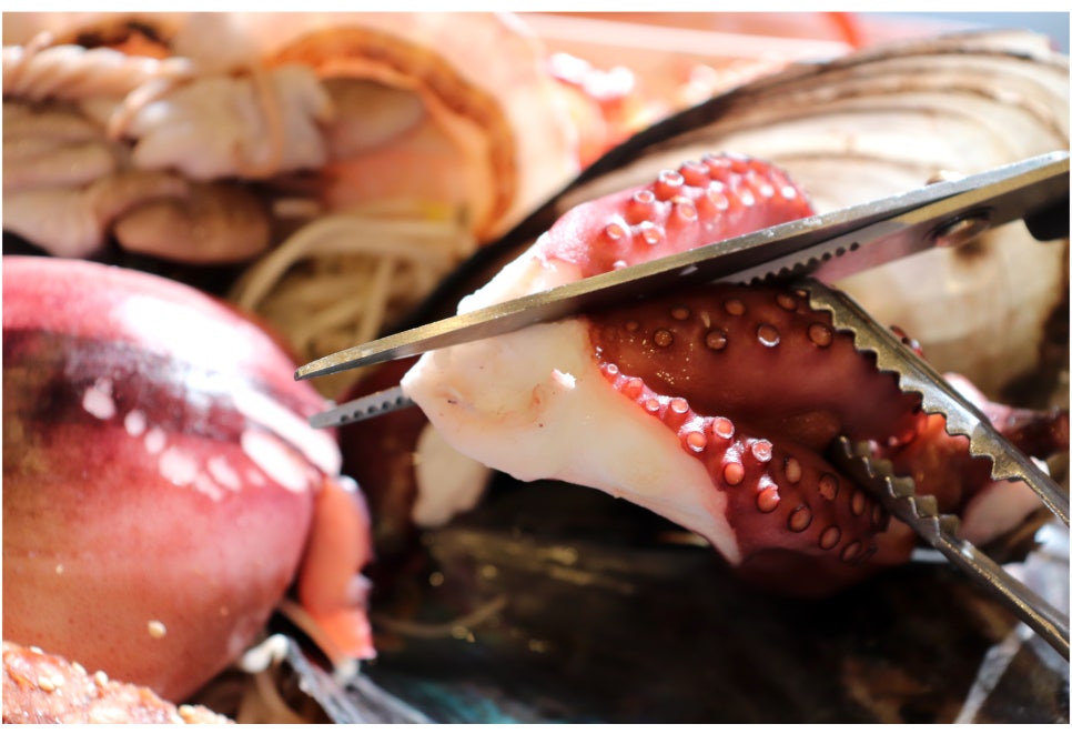 중곡동 맛집 면목동 주민도 인정한곳! 관련 이미지 16