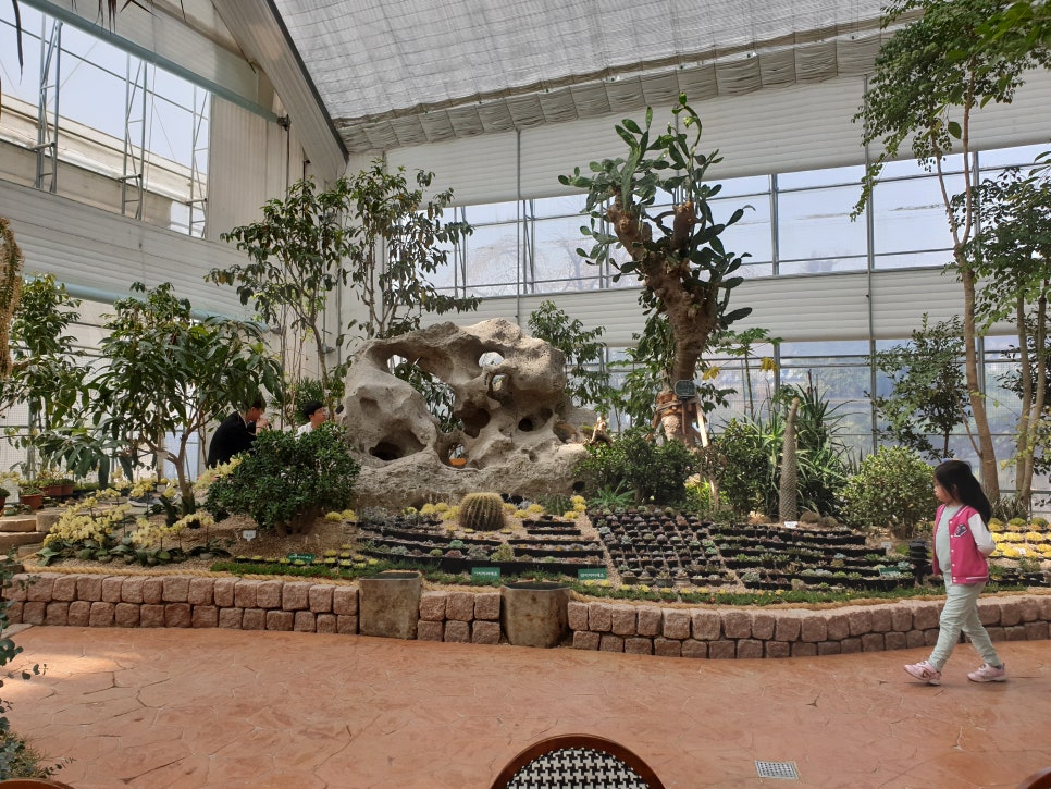 화성 가볼만한곳 바오밥식물원베이커리에 아이들과 함께 관련 이미지 23