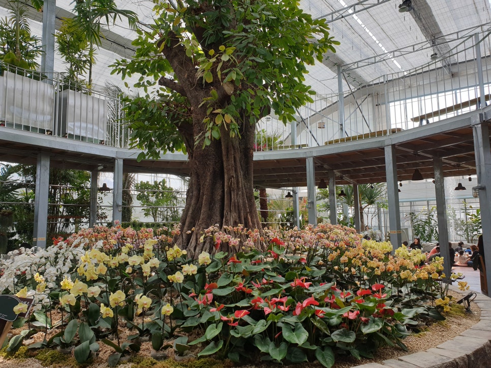 화성 가볼만한곳 바오밥식물원베이커리에 아이들과 함께 관련 이미지 19