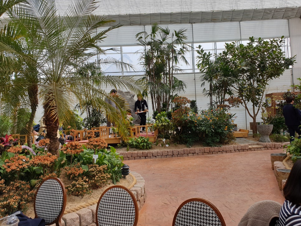 화성 가볼만한곳 바오밥식물원베이커리에 아이들과 함께 관련 이미지 22