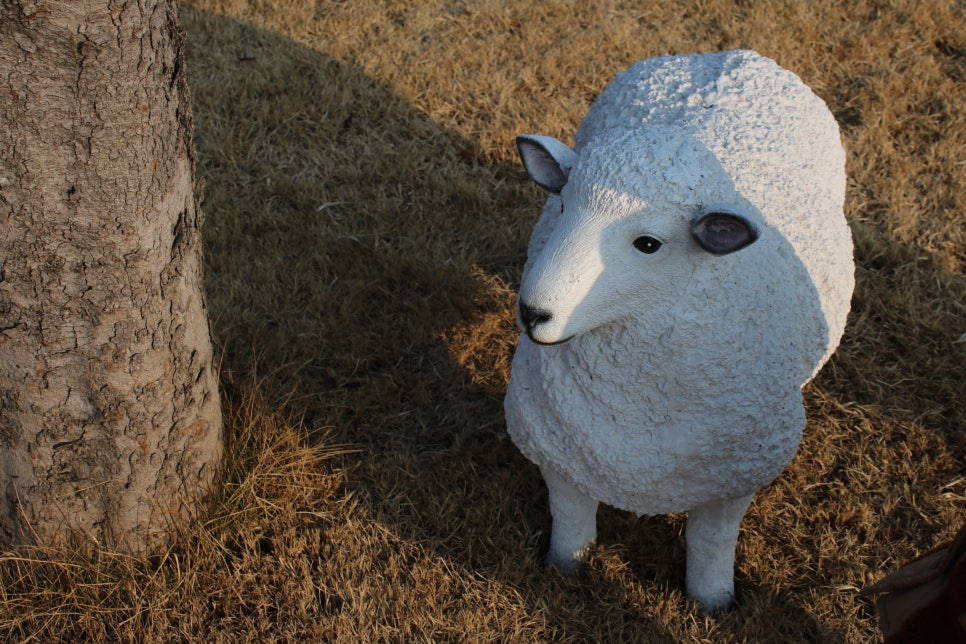 안성 맛집 지대로 보람을 느꼈던 파크엘림 관련 이미지 35