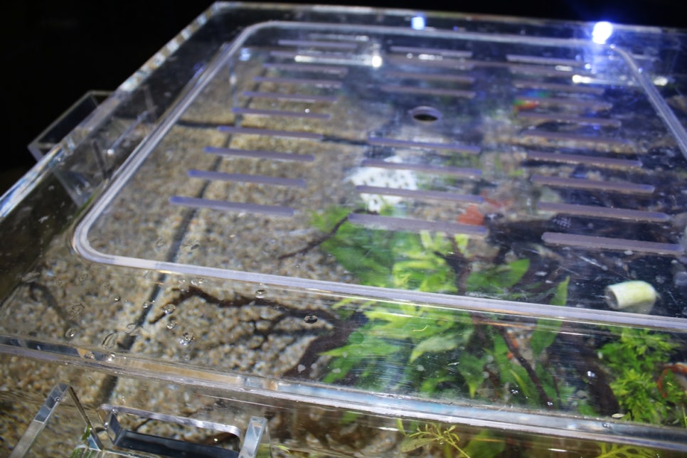 동탄 실내동물원 도심속에서 이런 퀄리티라니 놀라게 되는 아르티스테마파크 관련 이미지 59