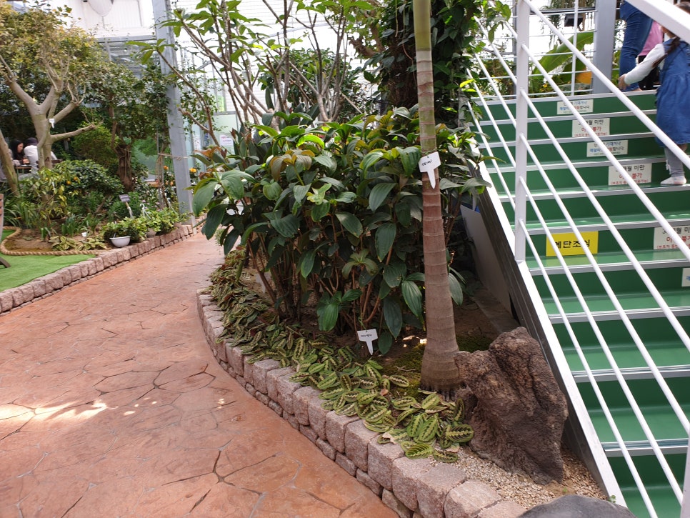 화성 가볼만한곳 바오밥식물원베이커리에 아이들과 함께 관련 이미지 10