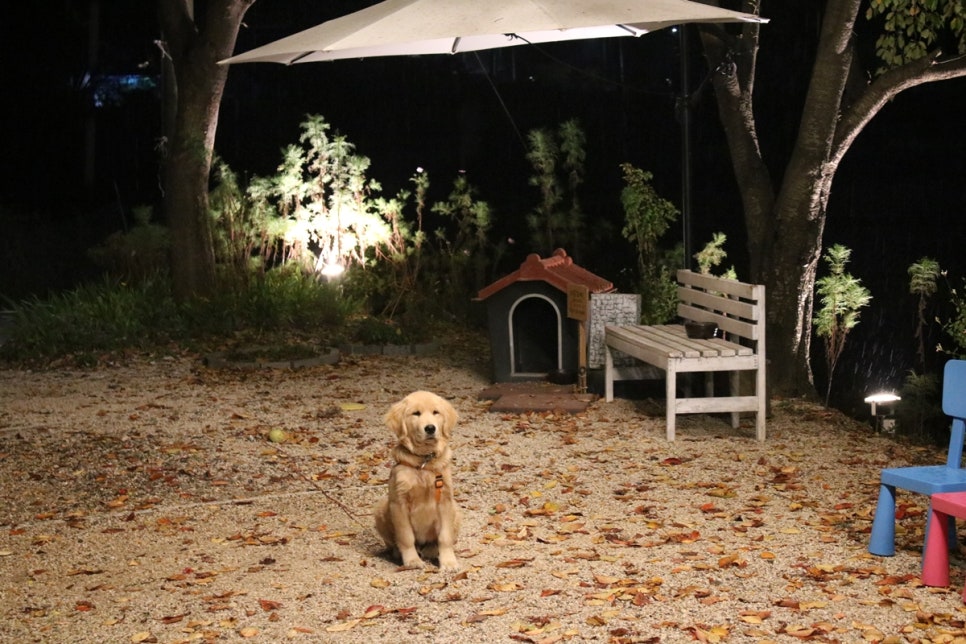 송탄오리고기 맛집 온가족이 행복한 시간을 보내고온 미당 관련 이미지 3
