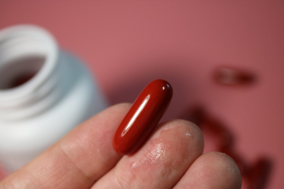 수험생 비타민 나만의 경쟁력을 높이려면? 관련 이미지 15