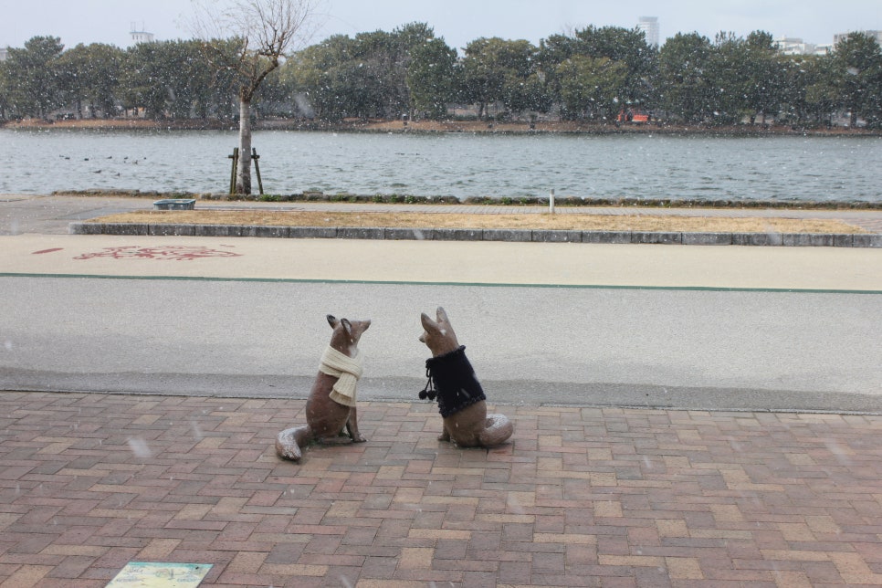 일본 후쿠오카 여행 오호리공원을 거닐면서 상념에 사로잡히다 관련 이미지 5